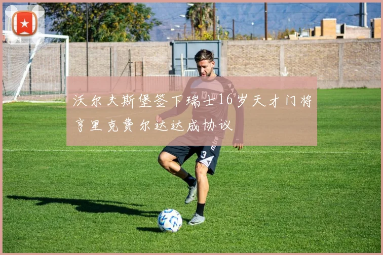 沃尔夫斯堡签下瑞士16岁天才门将亨里克费尔达达成协议